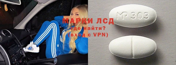 хмурый Белокуриха