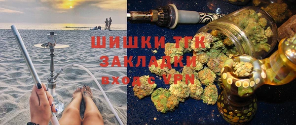 хмурый Белокуриха