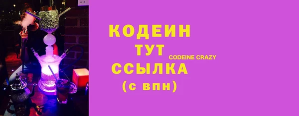 хмурый Белокуриха