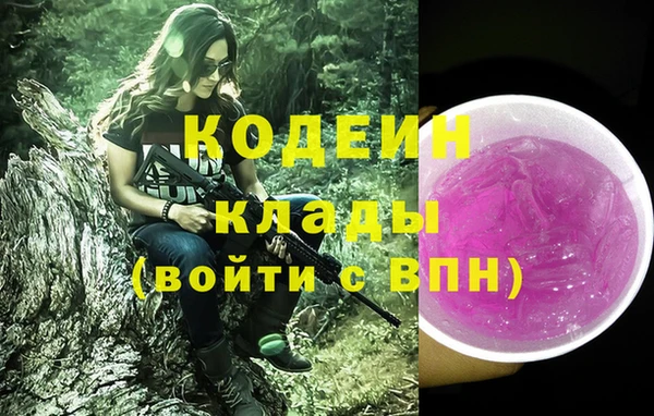 хмурый Белокуриха