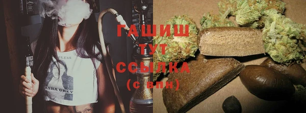 хмурый Белокуриха